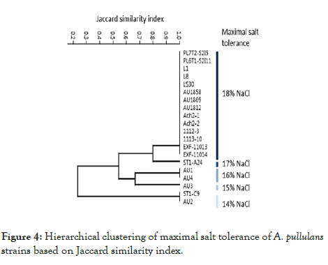 fungal-genomics-biology-maximal-salt