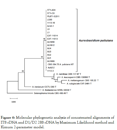 fungal-genomics-biology-phylogenetic-analysis