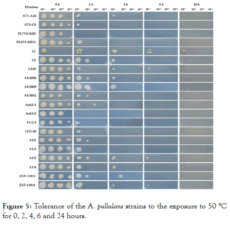 fungal-genomics-biology-strains-exposure