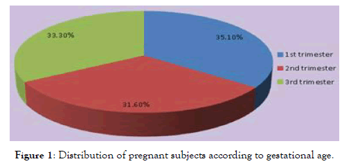 gynecology-obstetrics-pregnant