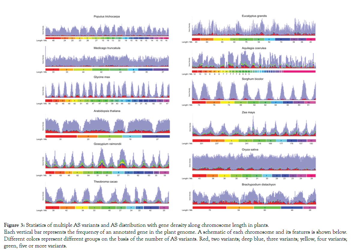 horticulture-gene-density