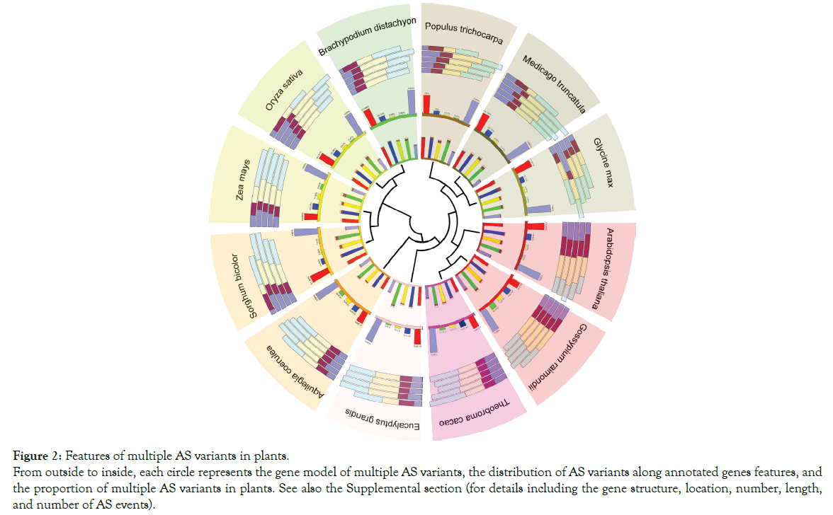 horticulture-gene-structure