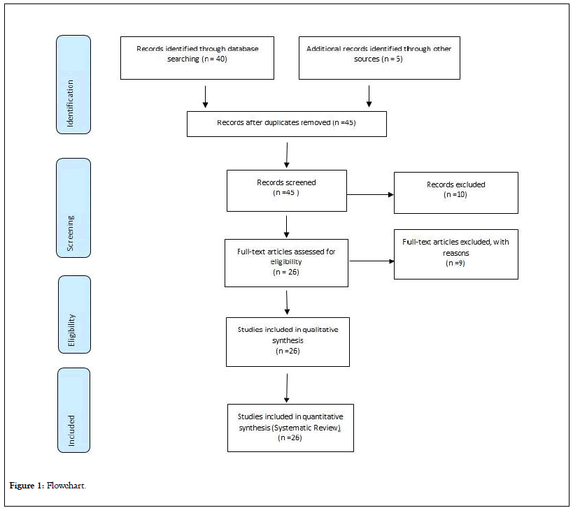 immunome-research-Flowchart