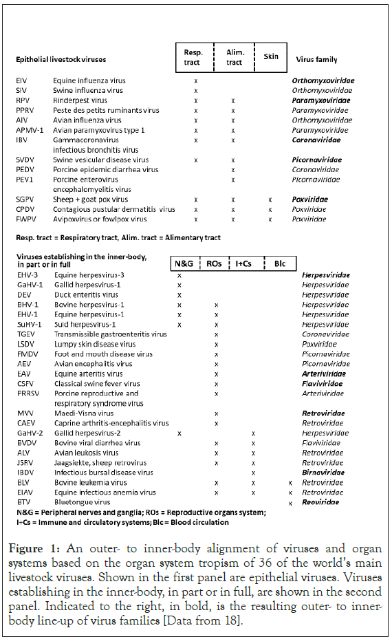 immunome-research-alignment