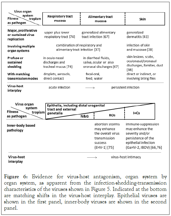 immunome-research-antagonism