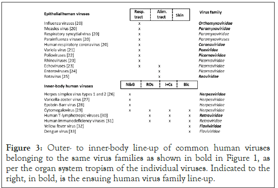 immunome-research-bold