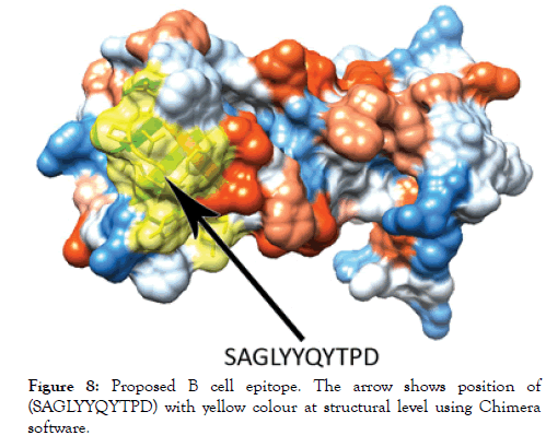 immunome-research-cell