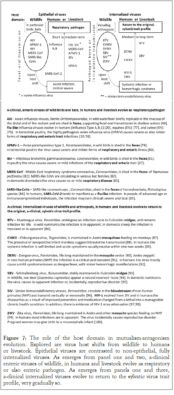 immunome-research-contrasted