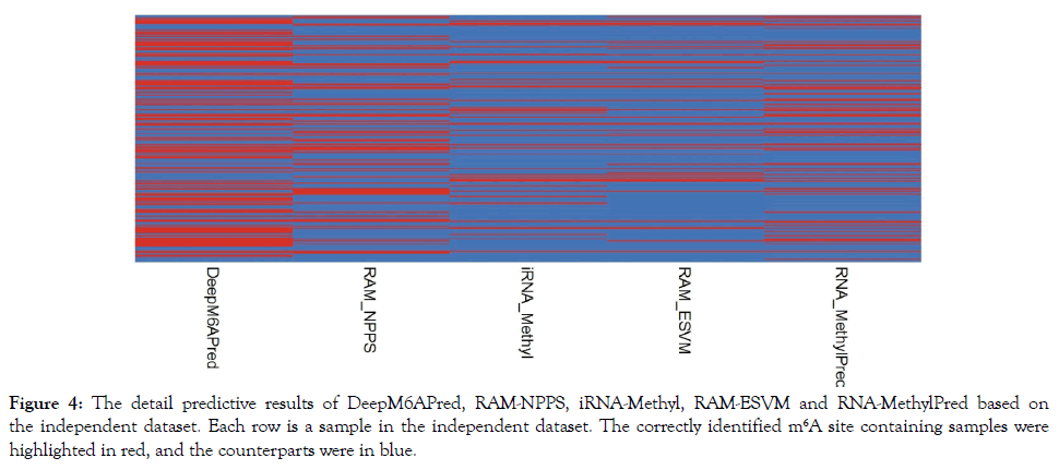 immunome-research-counterparts