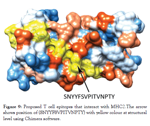 immunome-research-interact