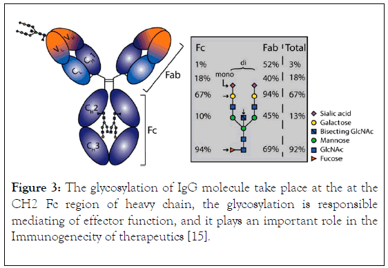 immunome-research-molecule