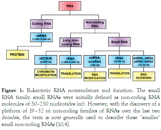 immunome-research-nomenclature