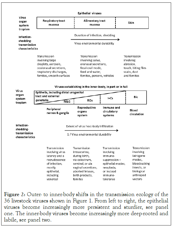 immunome-research-shifts