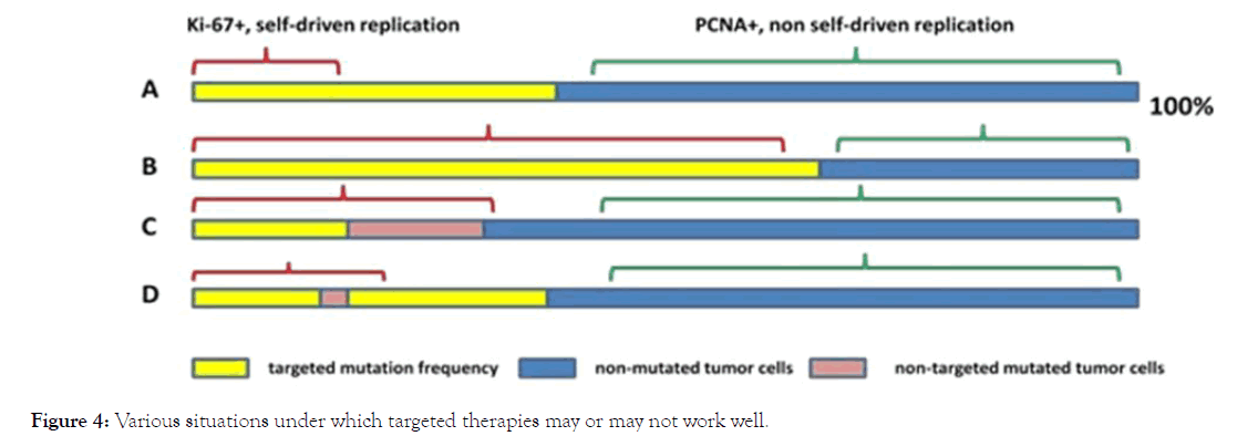 immunome-research-therapies