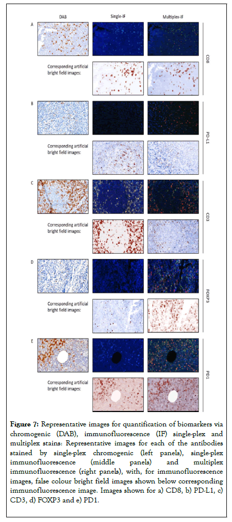 immunotherapy-biomarkers