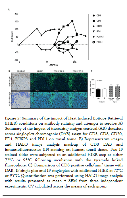 immunotherapy-epitope