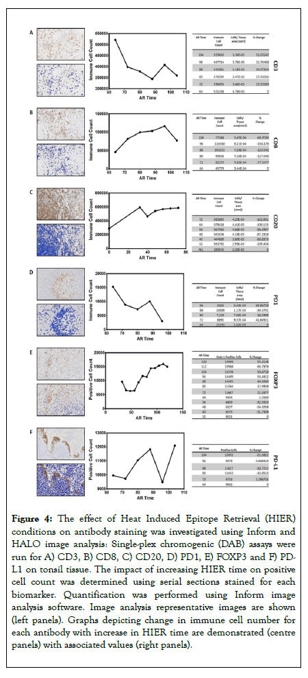 immunotherapy-heat