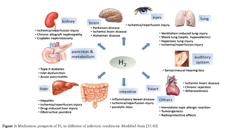 internal-medicine-infection