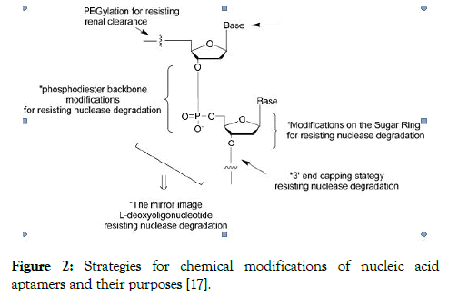 internal-medicine-modifications