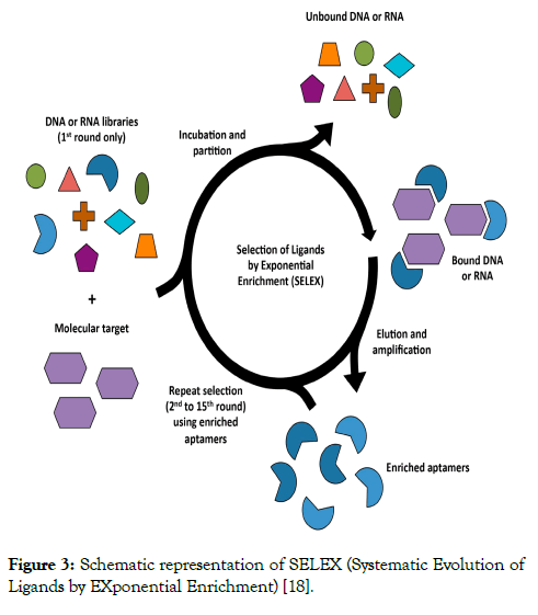 internal-medicine-representation