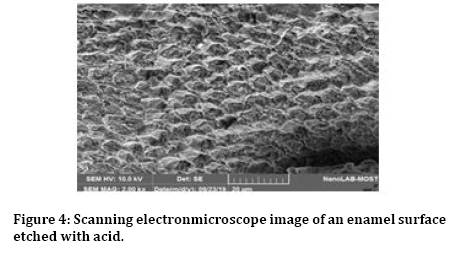 jrmds-electronmicroscope