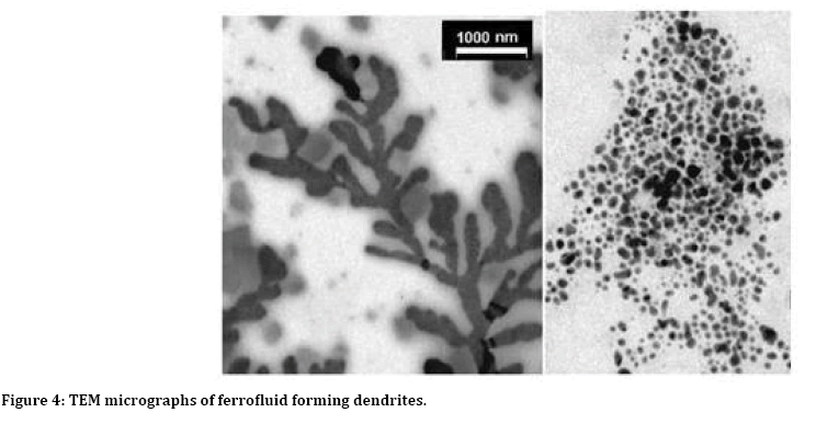 jrmds-ferrofluid