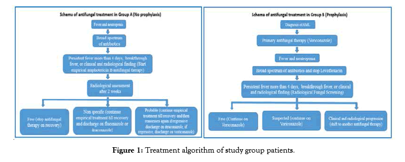 leukemia-algorithm