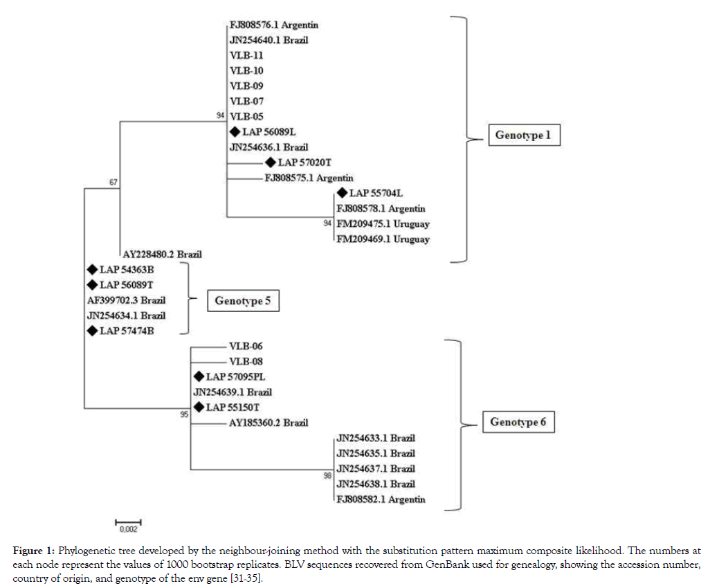 leukemia-phylogenetic-tree