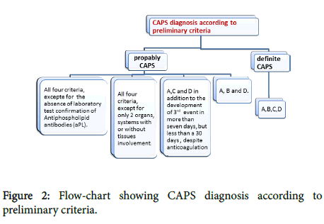 lupus-Flow-chart