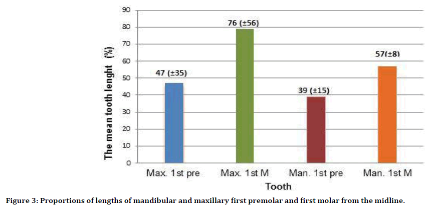 medical-dental-first-premolar