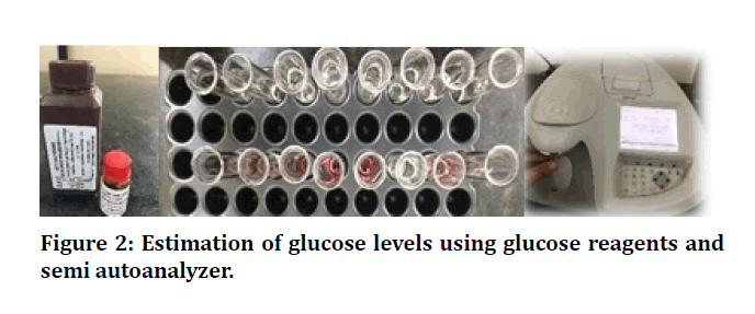 medical-dental-glucose-reagents