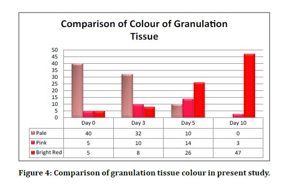 medical-dental-granulation-tissue