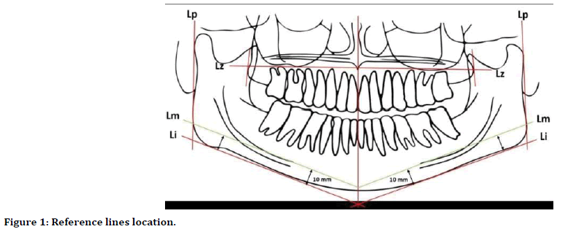 medical-dental-reference-lines-location