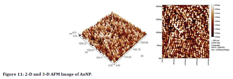 medical-dental-science-AFM-Image