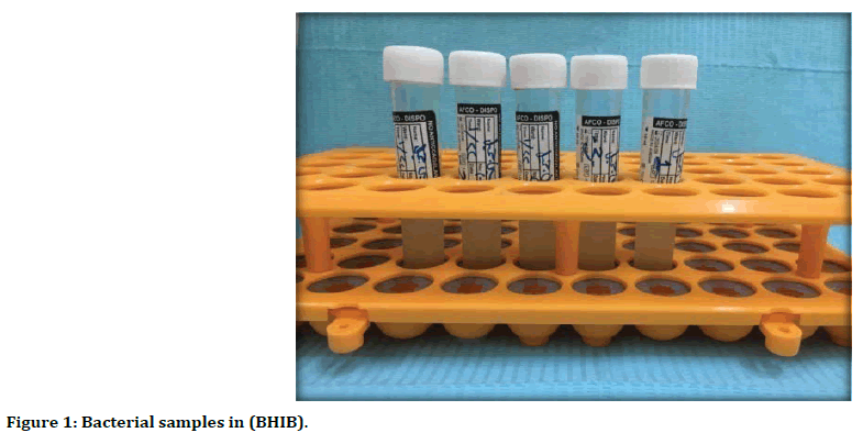 medical-dental-science-Bacterial-samples