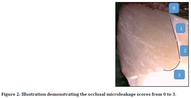 medical-dental-science-Illustration-demonstrating