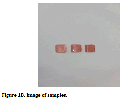 medical-dental-science-Image-samples