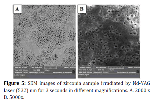 medical-dental-science-SEM-images