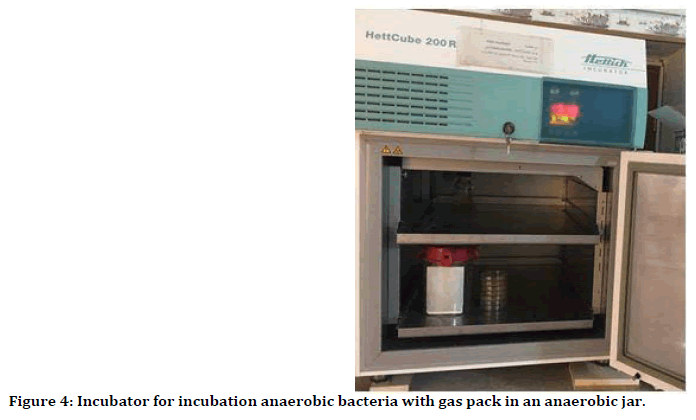 medical-dental-science-anaerobic-bacteria