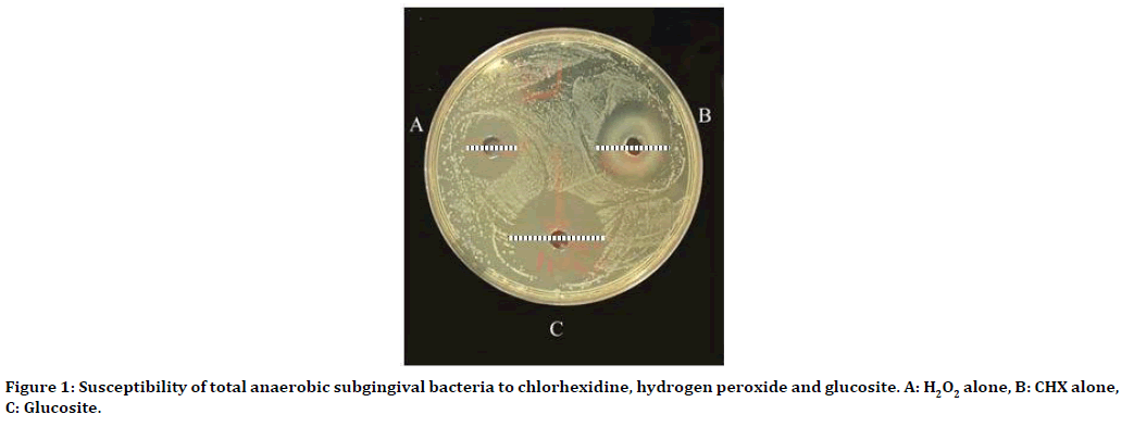 medical-dental-science-anaerobic-subgingival