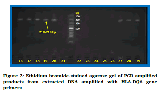 medical-dental-science-bromide-stained