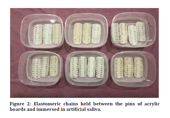 medical-dental-science-elastomeric-chains