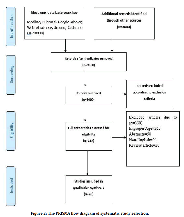 medical-dental-science-flow-diagram