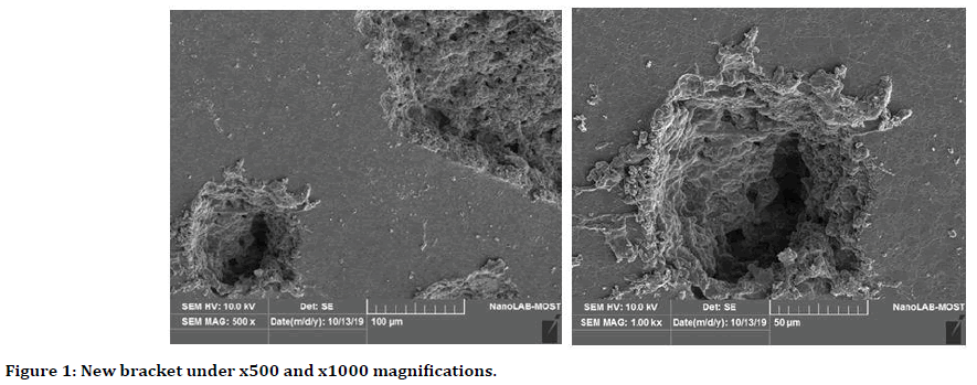 medical-dental-science-magnifications