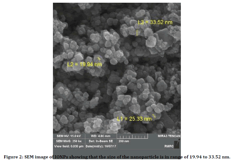 medical-dental-science-nanoparticle