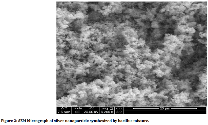 medical-dental-science-nanoparticle-synthesized3	