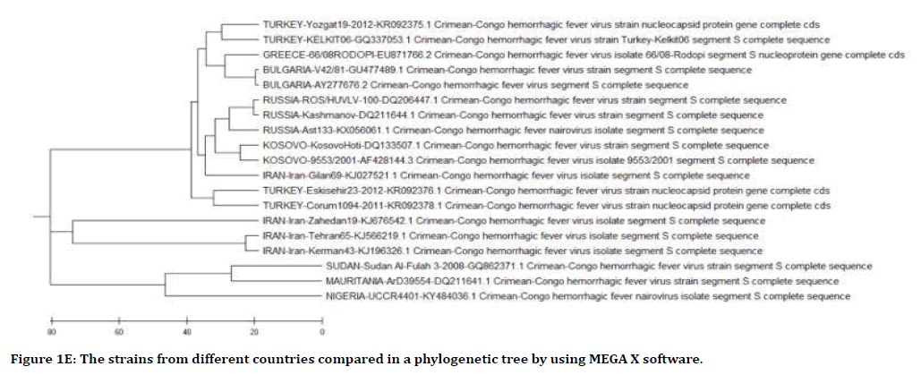 medical-dental-science-recombination