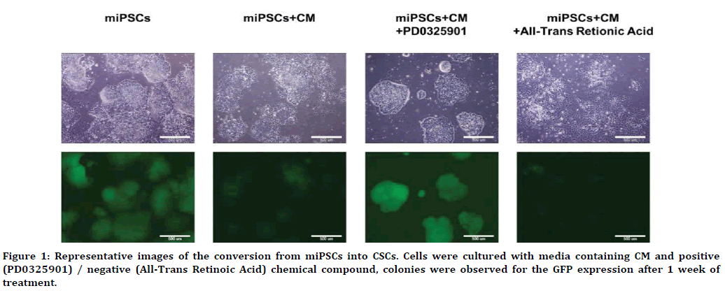 medical-dental-science-retinoic-acid