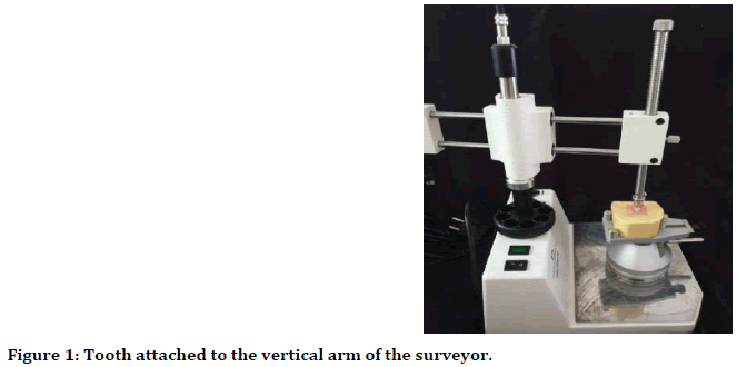 medical-dental-science-vertical-arm