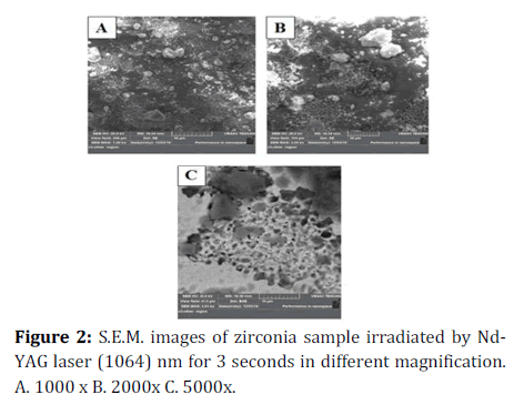 medical-dental-science-zirconia-sample